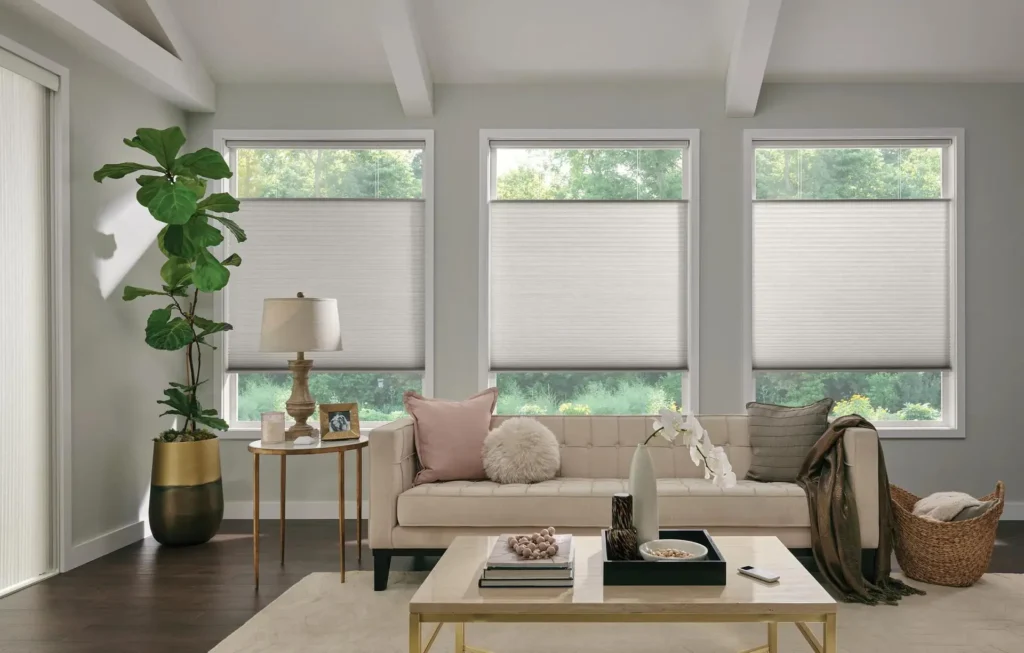 Top-down, bottom-up honeycomb shades in an Otsego Living room